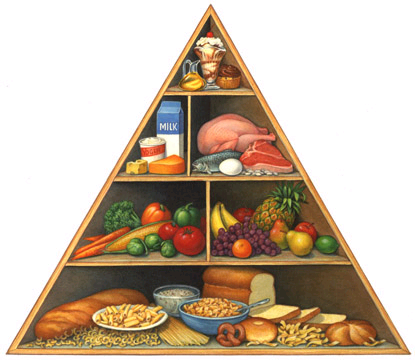 Realistic Food Pyramid
